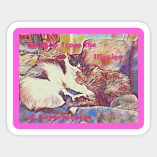 Awaken to the Illusion of Separateness Kitties in Love Sticker